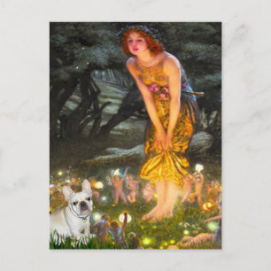 Franse Bulldog 3 - MidEve Briefkaart