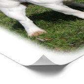 Franse Bulldog 9Y202D-134 Poster (Hoek)