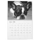 Franse Bulldog aangepaste kalender Voeg huisdier f (Mar 2026)