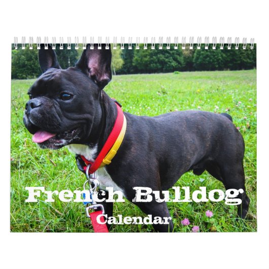 Franse Bulldog aangepaste kalender Voeg huisdier f (Hoes)