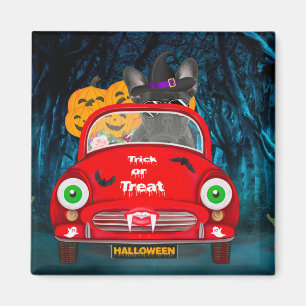 Franse Bulldog Bestuurt Auto Griezige Halloween Magneet