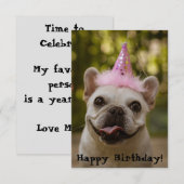 Franse Bulldog Birthday Kaart (Voorkant / Achterkant)