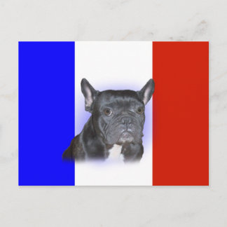 Franse Bulldog Briefkaart