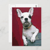 Franse Bulldog Briefkaart (Voorkant / Achterkant)