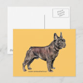 Franse Bulldog! Briefkaart (Voorkant / Achterkant)