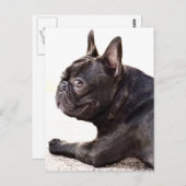 Franse Bulldog Briefkaart (Voorkant / Achterkant)