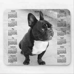 Franse Bulldog Calendar 2016 Foto Muismatten
