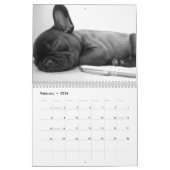 Franse Bulldog Calendar 2023 Black White Photos Kalender (Feb 2026)