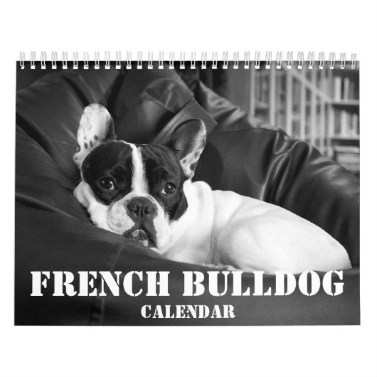 Franse Bulldog Calendar 2023 Black White Photos Kalender (Hoes)