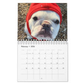 Franse Bulldog Calendar-Fredrick the Frenchie Cale Kalender (Feb 2026)