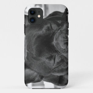 Franse Bulldog iPhone 11 Hoesje