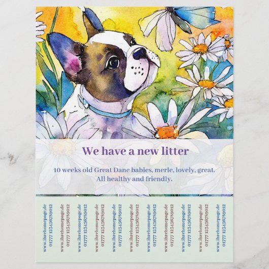 Franse Bulldog Flyer (Voorkant)