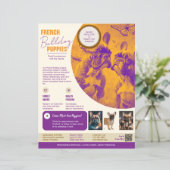 Franse Bulldog Flyer Paars (Staand voorkant)