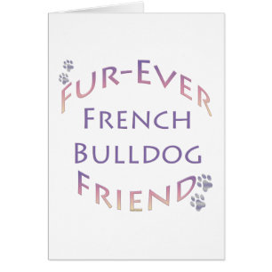 Franse Bulldog Furever