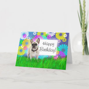 Franse Bulldog Gelukkige Verjaardag Kaart