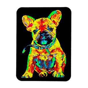 Franse Bulldog Gift   Franse kleurrijke kunst cade Magneet