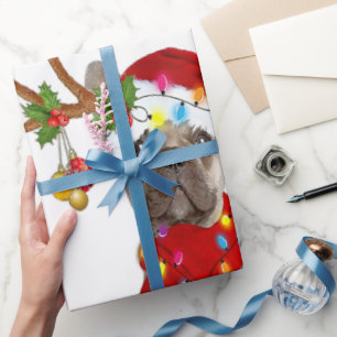 Franse Bulldog Goraalse Reindeer kerstcadeau Cadeaupapier
