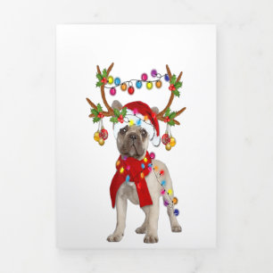Franse Bulldog Goraalse Reindeer kerstcadeau Drieluik Aankondiging