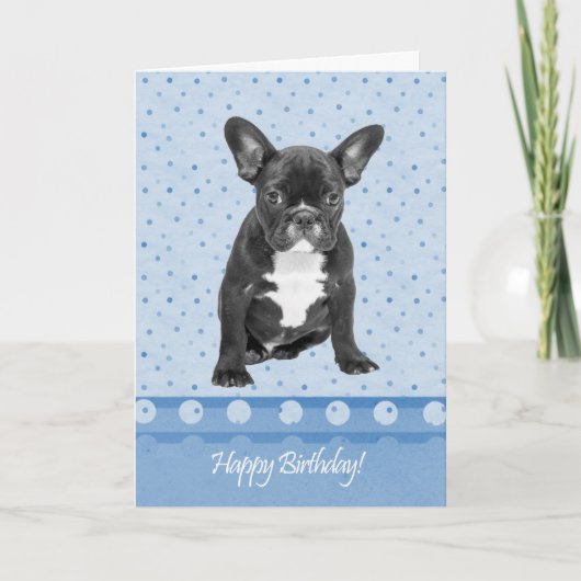 Franse Bulldog Happy Birthday Kaart Blauwe stippen (Voorkant)