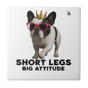 Franse Bulldog Hondenliefhebbers Tegeltje