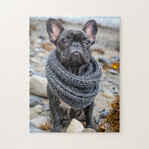 Franse Bulldog in Gebreide Hondenkleren Legpuzzel