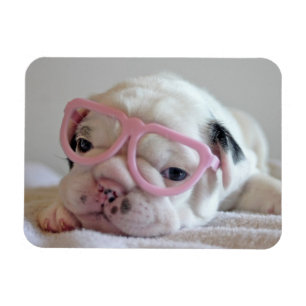 Franse Bulldog in Heart Glasses Magneet