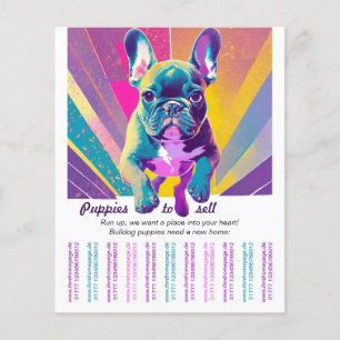 Franse Bulldog in je huis Flyer
