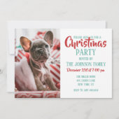 Franse Bulldog in Kerstmuts Kaart (Voorkant)