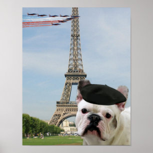 Franse bulldog in Parijs Poster