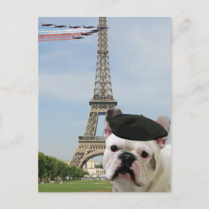 Franse Bulldog in Paris briefkaart