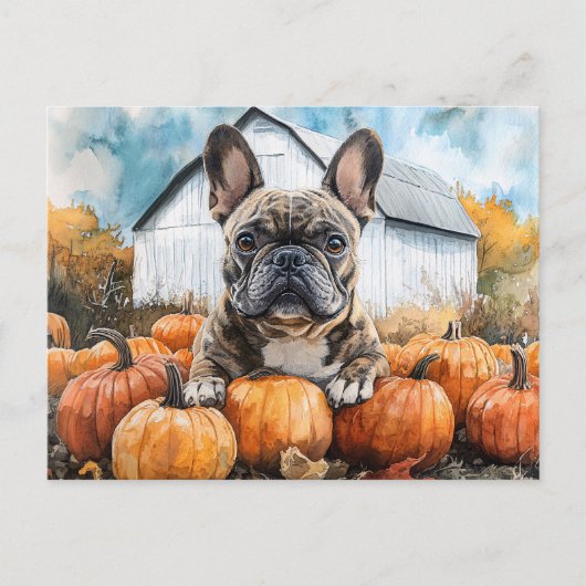 Franse Bulldog in Pumpkin Patch Briefkaart (Voorkant)