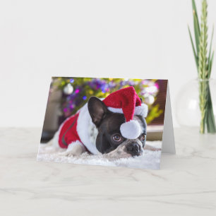 Franse Bulldog in Santa Hat onder de kerstboom Feestdagen Kaart