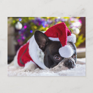 Franse Bulldog in Santa Hat onder de kerstboom Feestdagenkaart