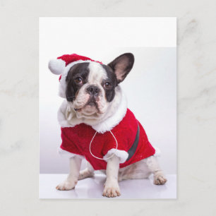 Franse Bulldog in Santa-kostuum voor Kerstmis Feestdagenkaart