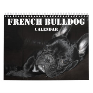 Franse Bulldog Kalender 2025 met foto's