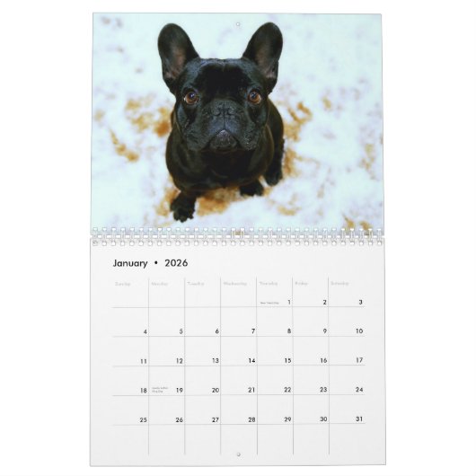 Franse Bulldog Kalender 2026 (Jan 2026)