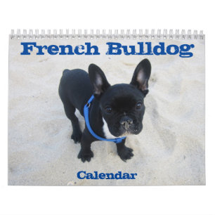 Franse Bulldog Kalender 2026 Ontwerp het