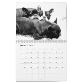 Franse Bulldog Kalender 2026 Zwart Wit (Feb 2026)