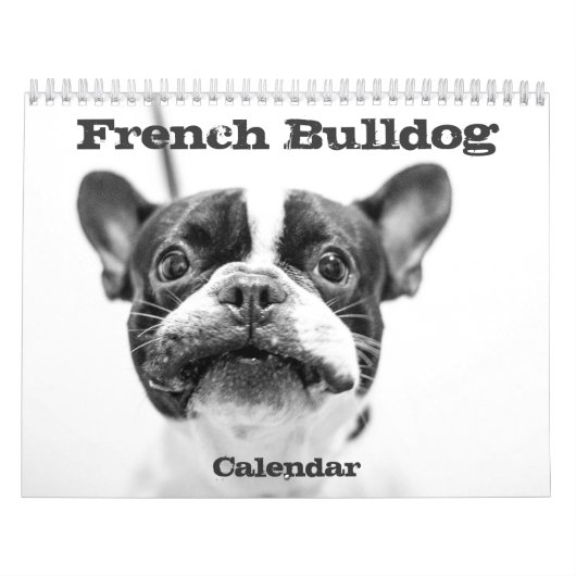 Franse Bulldog Kalender 2026 Zwart Wit (Hoes)