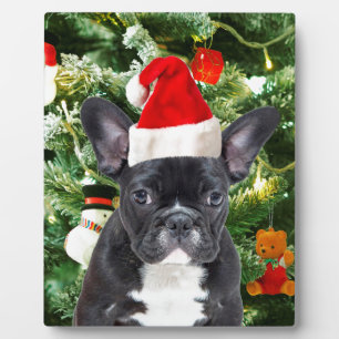 Franse Bulldog Kerstboom Ornamenten Sneeuwman Fotoplaat