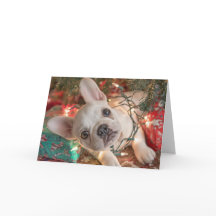 Franse Bulldog Kerstkaart – Puppy in Lichtjes