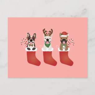 Franse Bulldog Kerstmutsen Briefkaart