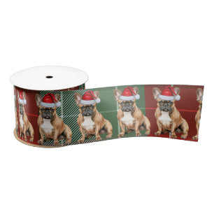 Franse Bulldog Kerstvakantie Plaid Grappige Hond K Lint