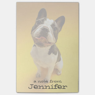 Franse Bulldog kijkt omhoog Post-it® Notes