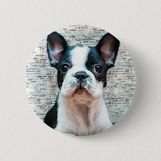 Franse Bulldog-knop Ronde Button 5,7 Cm (Voorkant)