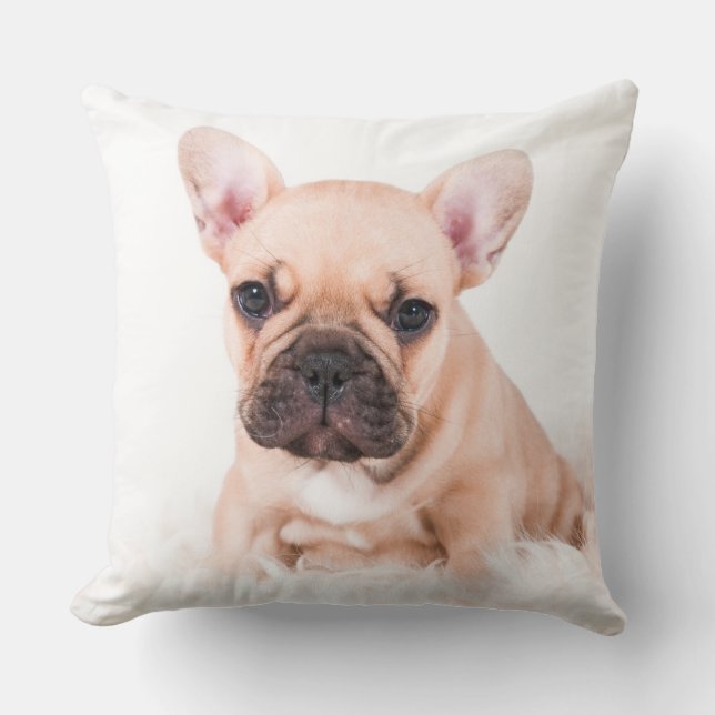 Franse Bulldog Kussen (Voorkant)