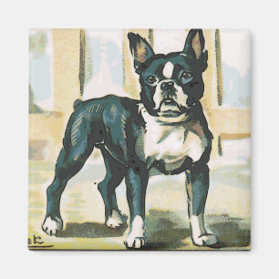 Franse Bulldog Magneet