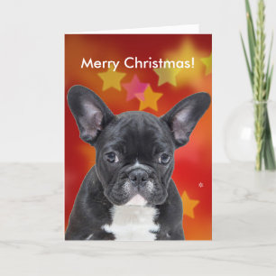 Franse Bulldog Merry Christmas Stars Kaart