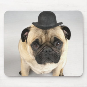 Franse bulldog met bowler, studioshot muismat