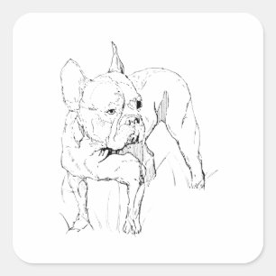 Franse Bulldog - met de hand getekende hondenillus Vierkante Sticker
